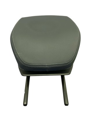 2023-2024 Fisker Ocean Blue Seat Headrest - Front, Left (Driver) (Used OEM)