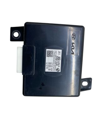 2021-2024 Genesis GV80 Door Curtain Control Module - Rear (Used OEM)