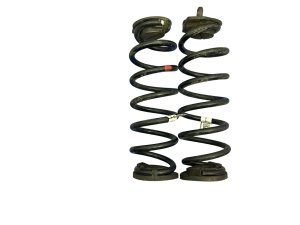 2023-2025 Honda CR-V Suspension Coil Spring Set - Rear (Used OEM)