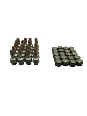 2018-2023 Volkswagen Tiguan Wheel Lug Bolt and Cover Cap Set (Used OEM)