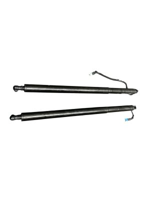 2018-2024 BMW X3 Power Tailgate Liftgate Support Strut Set - Rear (Used OEM)