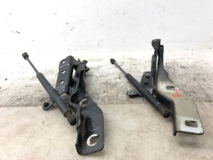 2015-2020 Ford F-150 Hood Hinge and Lift Support Strut Set - Front, Left (Driver) (Used OEM)