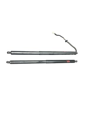2022-2024 Hyundai Ioniq 5 Power Tailgate Liftgate Strut (Used OEM)