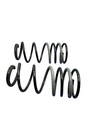 2024-2025 Toyota Tacoma Rear Coil Spring Set without Adaptive Suspension (Used OEM)