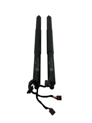 2021-2024 Audi SQ5 Power Tailgate Lift Support Cylinder Set - Rear (Used OEM)
