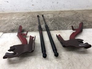 2016-2022 Lexus RX450h Hood Hinge and Lift Cylinder Support Set - Front, Left (Driver) (Used OEM)