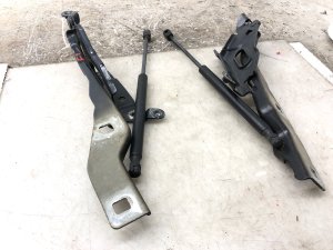 2015-2020 Ford F-150 Hood Hinge Set with Support Lift Cylinders - Front, Left (Driver) (Used OEM)