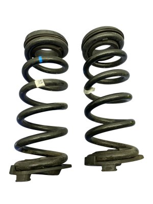 2023-2024 Fisker Ocean Coil Spring Set - Rear (Used OEM)