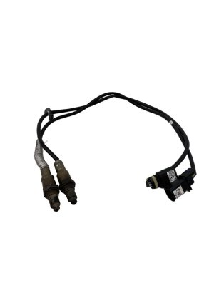 2019-2022 Porsche Cayenne Oxygen Sensor Set (Used OEM)