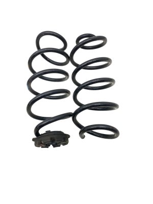 2025-2026 Nissan Kicks Suspension Coil Spring Set - Rear (Used OEM)