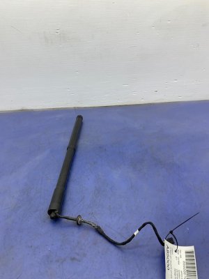 2011-2014 Porsche Cayenne Power Liftgate Lift Support - Rear, Left (Driver) (Used OEM)