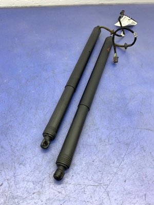 2015-2019 Porsche Macan Power Liftgate Lift Support Strut Set - Rear (Used OEM)