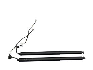 2021-2026 Chrysler Pacifica Power Trunk Liftgate Strut Cylinder Set - Rear (Used OEM)