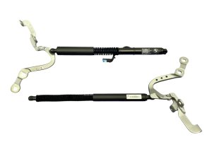 2018-2024 BMW X3 Power Tailgate Lift Support Strut Set (Used OEM)