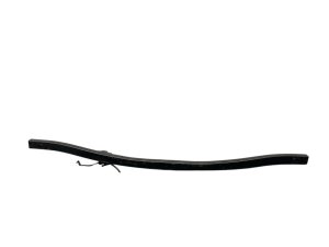 2015-2023 Dodge Challenger Radiator Core Support Assembly (Used OEM)