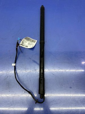 2010-2016 Porsche Panamera Power Liftgate Lift Cylinder - Rear, Left (Driver) (Used OEM)