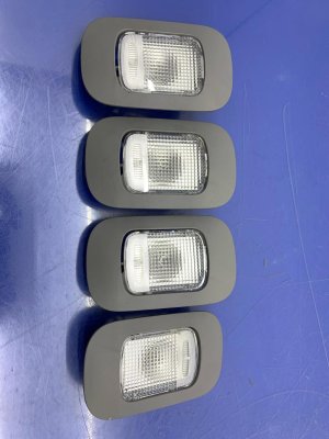 2017-2024 Honda Ridgeline Gray Interior Overhead Light Assembly Set (Used OEM)