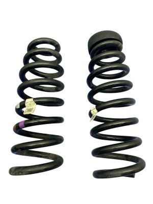 2022-2024 Hyundai Ioniq 5 Rear Coil Spring Set (Used OEM)