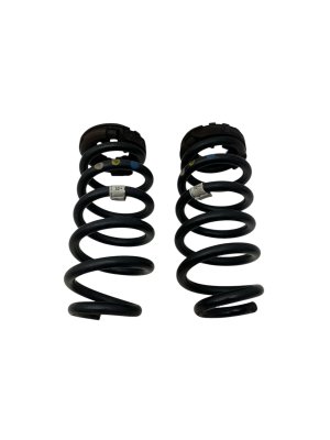 2018-2021 Jaguar E-Pace Coil Spring Set - Rear (Used OEM)