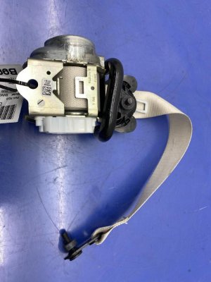 2019-2025 BMW X5 Ivory (White) Seat Belt Assembly - Rear, Right (Passenger) (Used OEM)