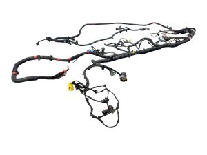 2011-2016 Ferrari FF Engine Bay Wiring Harness (Used OEM)