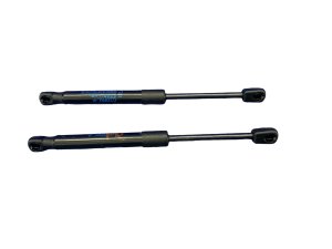2018-2019 BMW 328i Hood Lift Support Strut Set - Front (Used OEM)
