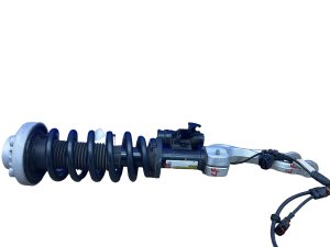 2022-2024 Lucid Air Strut and Spring Assembly - Front (Used OEM)