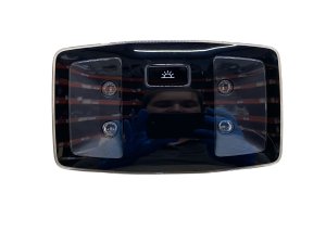 2022-2025 Lexus NX350h Overhead Dome and Reading Light - Rear (Used OEM)