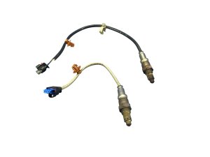2020-2024 Ford Escape Upstream and Downstream Oxygen Sensor Set (Used OEM)