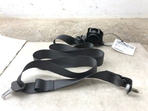 2023-2025 GMC Canyon Seat Belt Assembly - Rear (Used OEM)