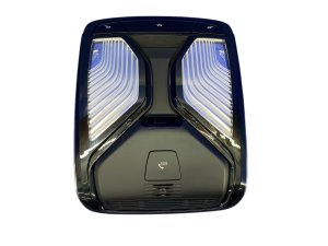 2019-2023 BMW 328i Overhead Console with Dome Light - Front (Used OEM)