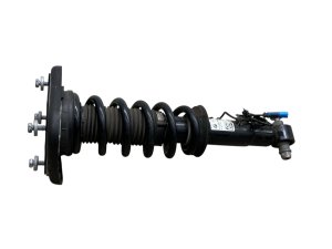 2020-2025 BMW X6 Coil Spring Suspension Strut Assembly - Rear, Left (Driver) (Used OEM)