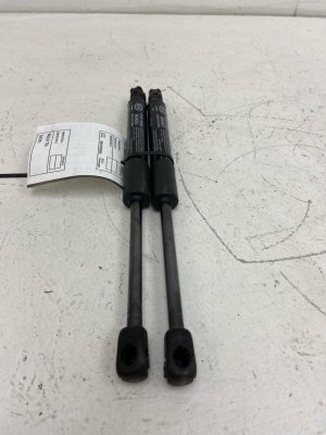 2020-2025 Kia Telluride Hood Lift Support Shock Set - Front (Used OEM)