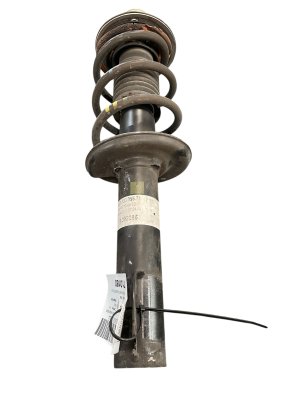 2005-2012 Porsche Boxster Suspension Strut without Electronic Damper Control - Rear, Right (Passenger) (Used OEM)