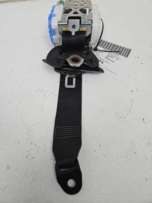 2019-2024 Lexus UX250h Black Seat Belt Assembly - Rear, Right (Passenger) (Used OEM)