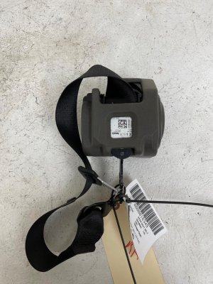 2019-2025 BMW M3 Black Seat Belt Assembly - Rear, Right (Passenger) (Used OEM)