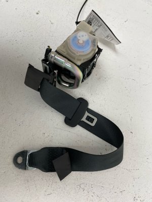 2025 Toyota Camry Black Outer Seat Belt Assembly - Rear, Right (Passenger) (Used OEM)