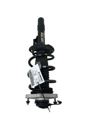 2019-2024 Lexus ES300h Suspension Strut Shock Absorber - Rear (Used OEM)