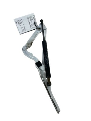 2021-2025 Toyota Mirai Hood Hinge Set - Left (Driver) (Used OEM)