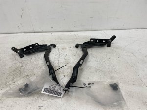 2017-2020 Ford F-150 Hood Hinge Set - Front, Left (Driver) (Used OEM)