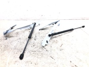2019-2025 Ram 1500 Hood Hinge Set with Lift Cylinders - Front, Left (Driver) (Used OEM)