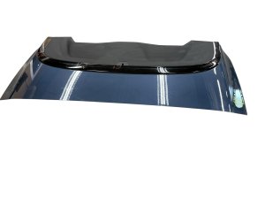 2021-2024 BMW M4 Convertible Soft Top Storage Compartment Cover (Used OEM)