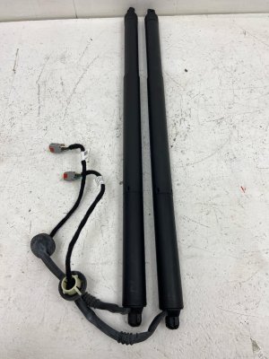 2018-2024 Lincoln Navigator Power Tailgate Lift Motor Strut Pair - Rear (Used OEM)