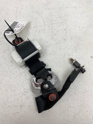 2020-2022 Kia Telluride Lap Seat Belt Assembly - Rear, Left (Driver) (Used OEM)