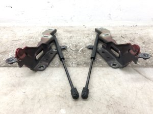 2015-2020 Ford F-150 Hood Hinge with Lift Cylinders - Front, Left (Driver) (Used OEM)