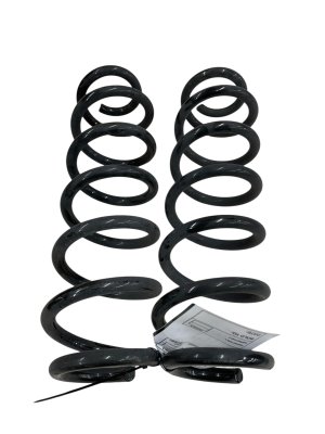 2023-2025 Toyota bZ4X Suspension Coil Spring Set - Rear (Used OEM)