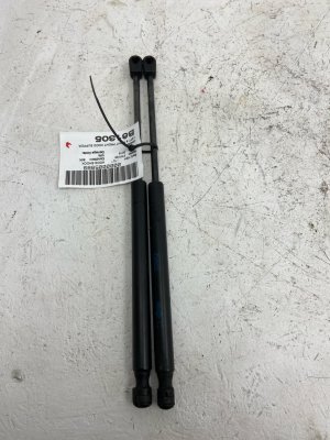 2015-2020 Ford F-150 Hood Lift Support Strut Set - Front (Used OEM)