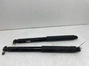 2021-2023 Ford F-150 Suspension Strut and Shock Absorber Set - Rear (Used OEM)