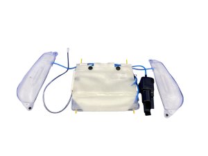 2017-2023 Audi R8 Seat Lumbar Adjustment Air Bag with Pump - Front (Used OEM)