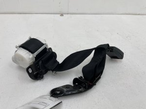 2021-2025 Ford F-150 Black Center Seat Belt Assembly with Buckle - Rear, Left (Driver) (Used OEM)